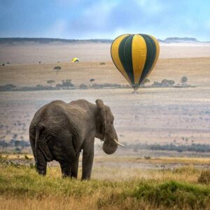 7 Days Rwanda Gorilla Trekking and Masai Mara Great Migration
