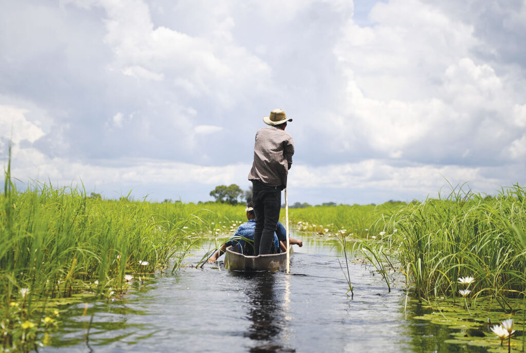 Best Times to Visit Botswana