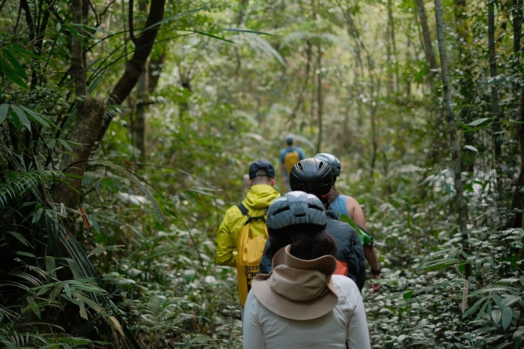 4 DAY DOUBLE GORILLA TREKKING SAFARI UGANDA