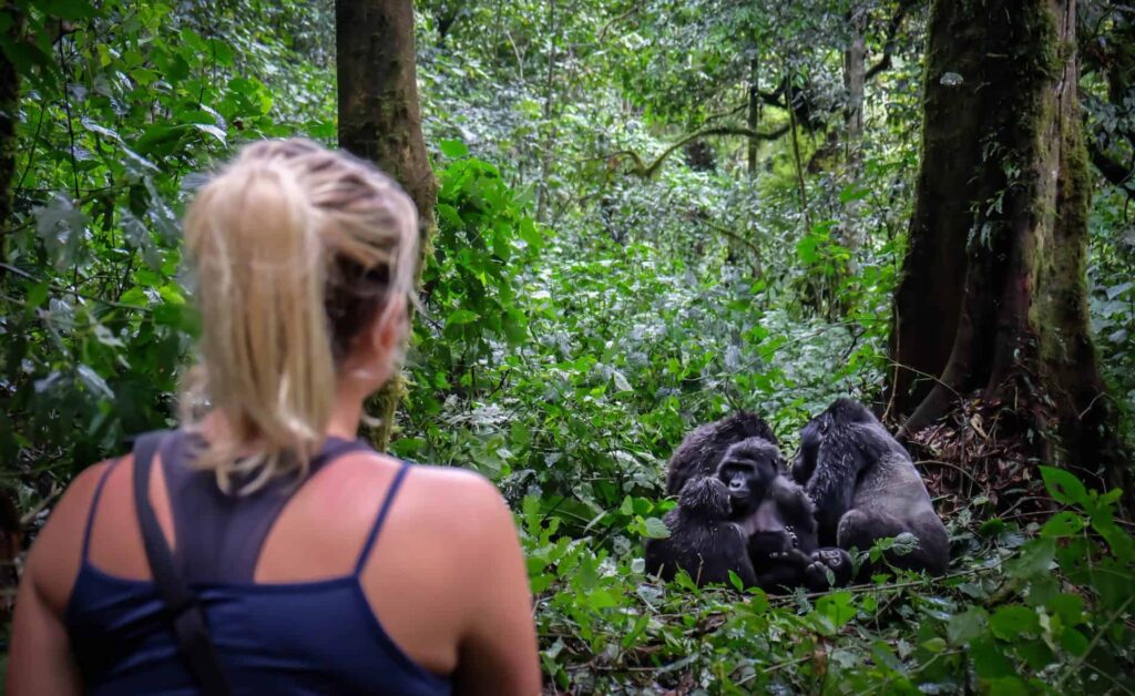 7 DAYS UGANDA GORILLA & MURCHISON FALLS SAFARI