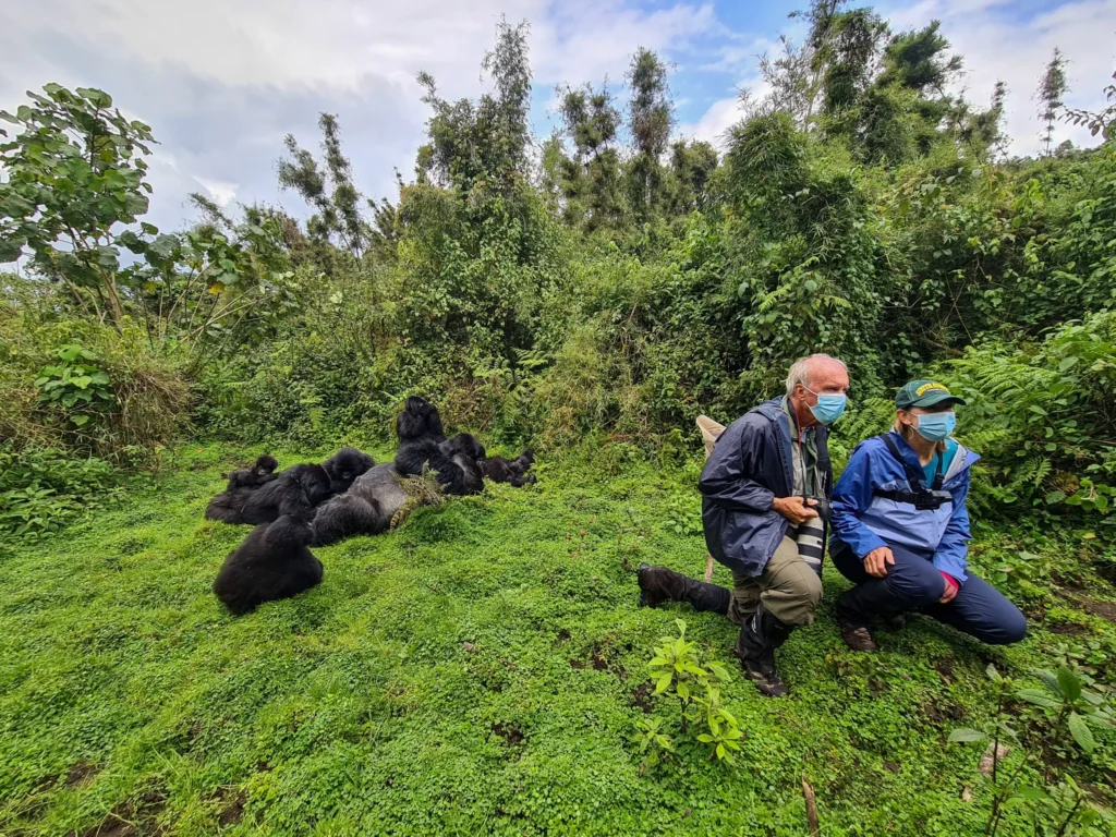 3 DAY UGANDA GORILLA HABITUATION SAFARI