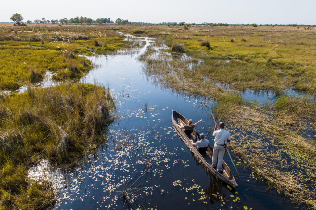 8 DAYS GORILLA TREKKING & BOTSWANA SAFARI