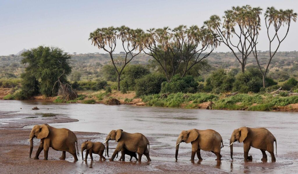 SAMBURU NATIONAL RESERVE