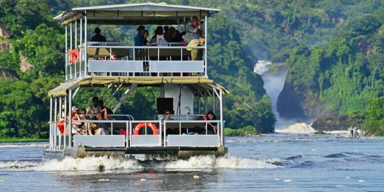 Boat Cruise