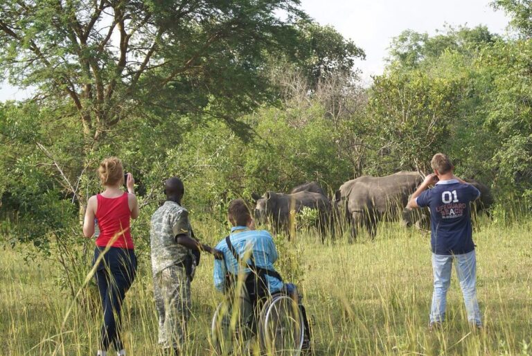 Rhino Trekking