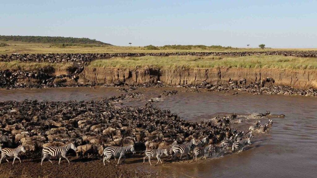 SERENGETI NATIONAL PARK