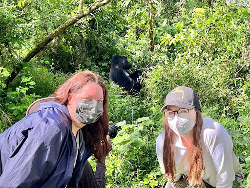 7-DAY UGANDA GORILLA WALKING SAFARI