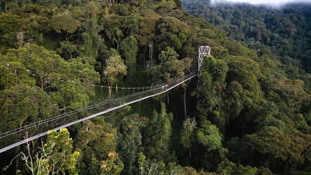 NYUNGWE NATIONAL PARK