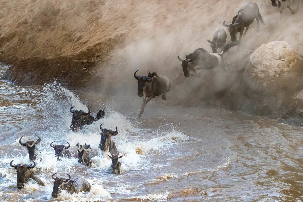 MAASAI MARA NATIONAL RESERVE