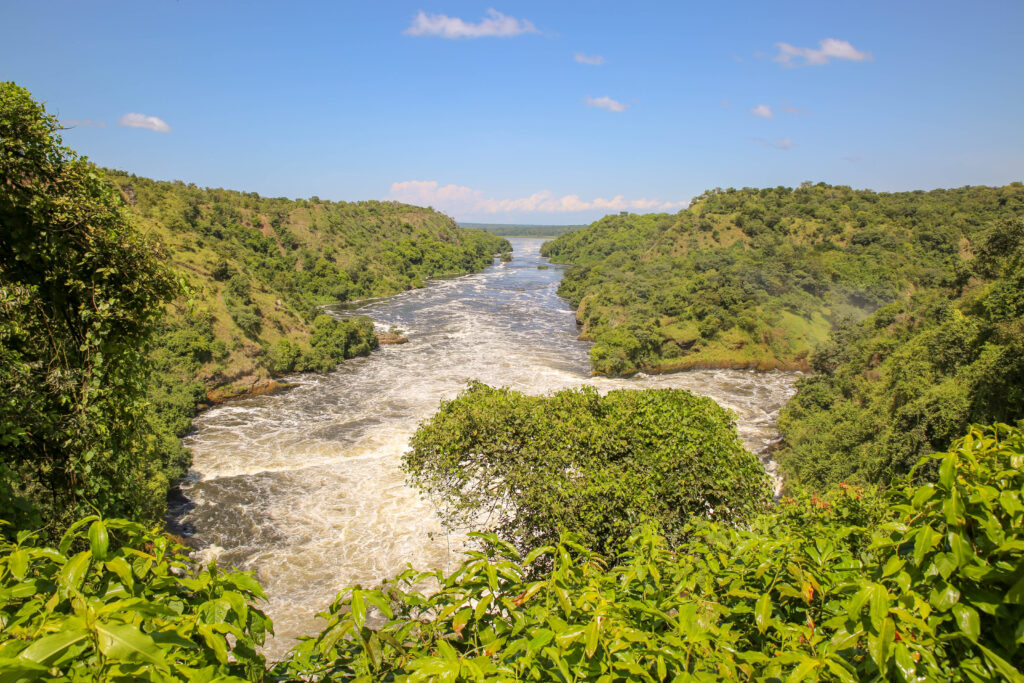 7 DAYS UGANDA GORILLAS & MURCHISON FALLS SAFARI