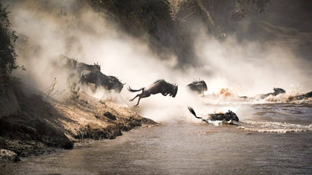 7 DAYS GREAT MIGRATION LUXURY SAFARI