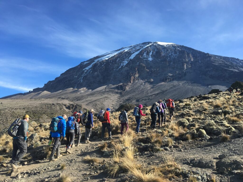 10 DAY UGANDA GORILLAS & KILIMANJARO TREKKING  MARANGU ROUTE