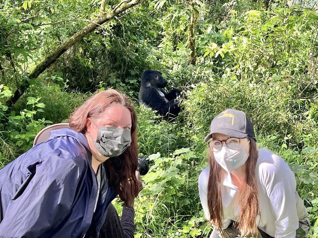 Mountain gorilla trekking in Bwindi Impenetrable Forest National Park